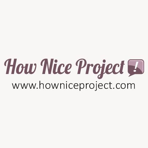 How Nice Project logo